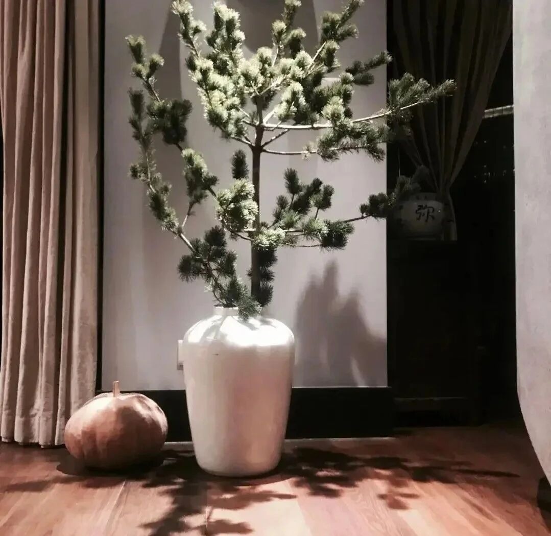 Biệt thự của Biệt thự của