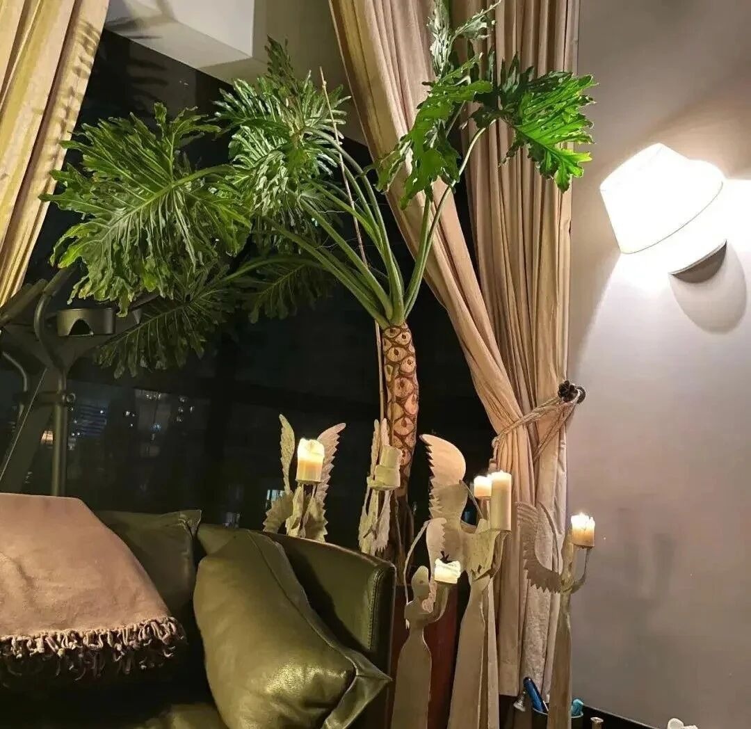 Biệt thự của Biệt thự của