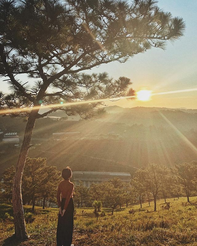 photo-1765177207520 photo-1765177207520