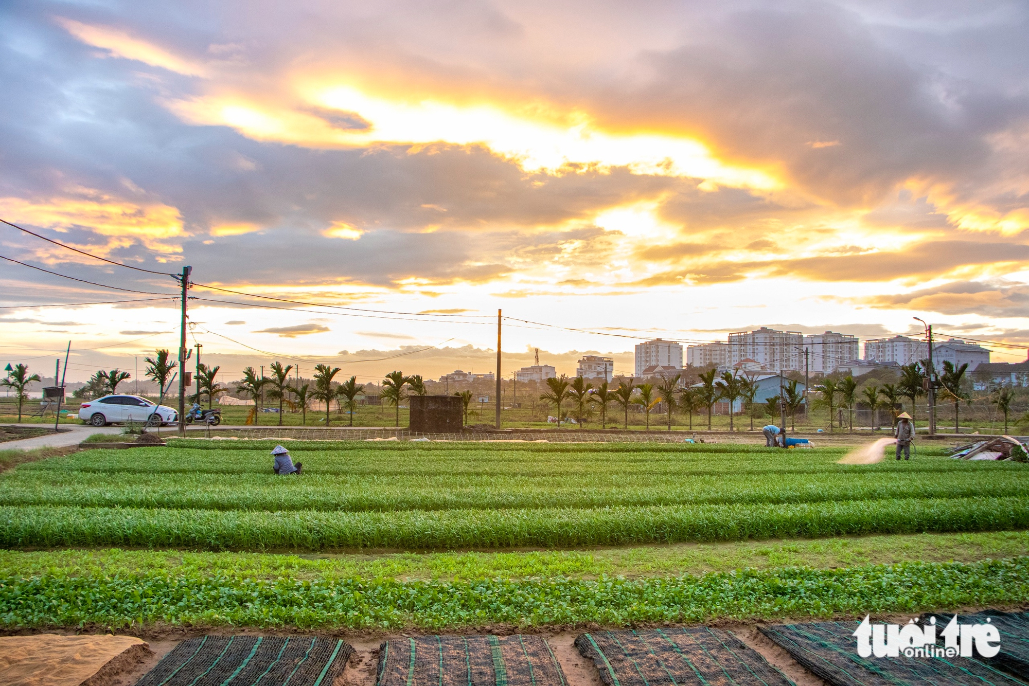 Đà Nẵng - Ảnh 7.