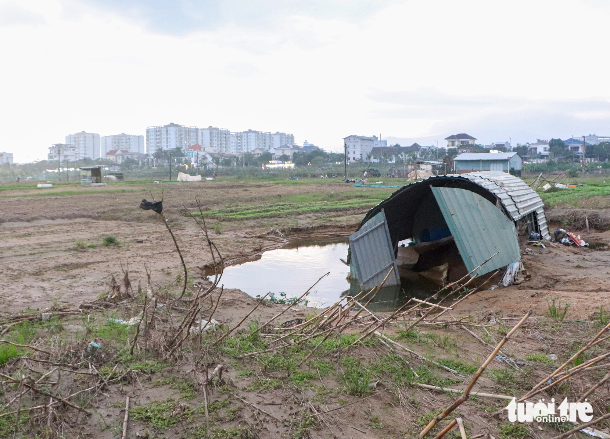 Đà Nẵng - Ảnh 8.