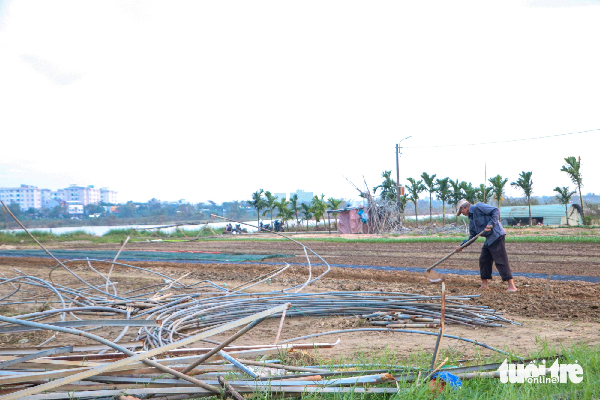 Đà Nẵng - Ảnh 9.