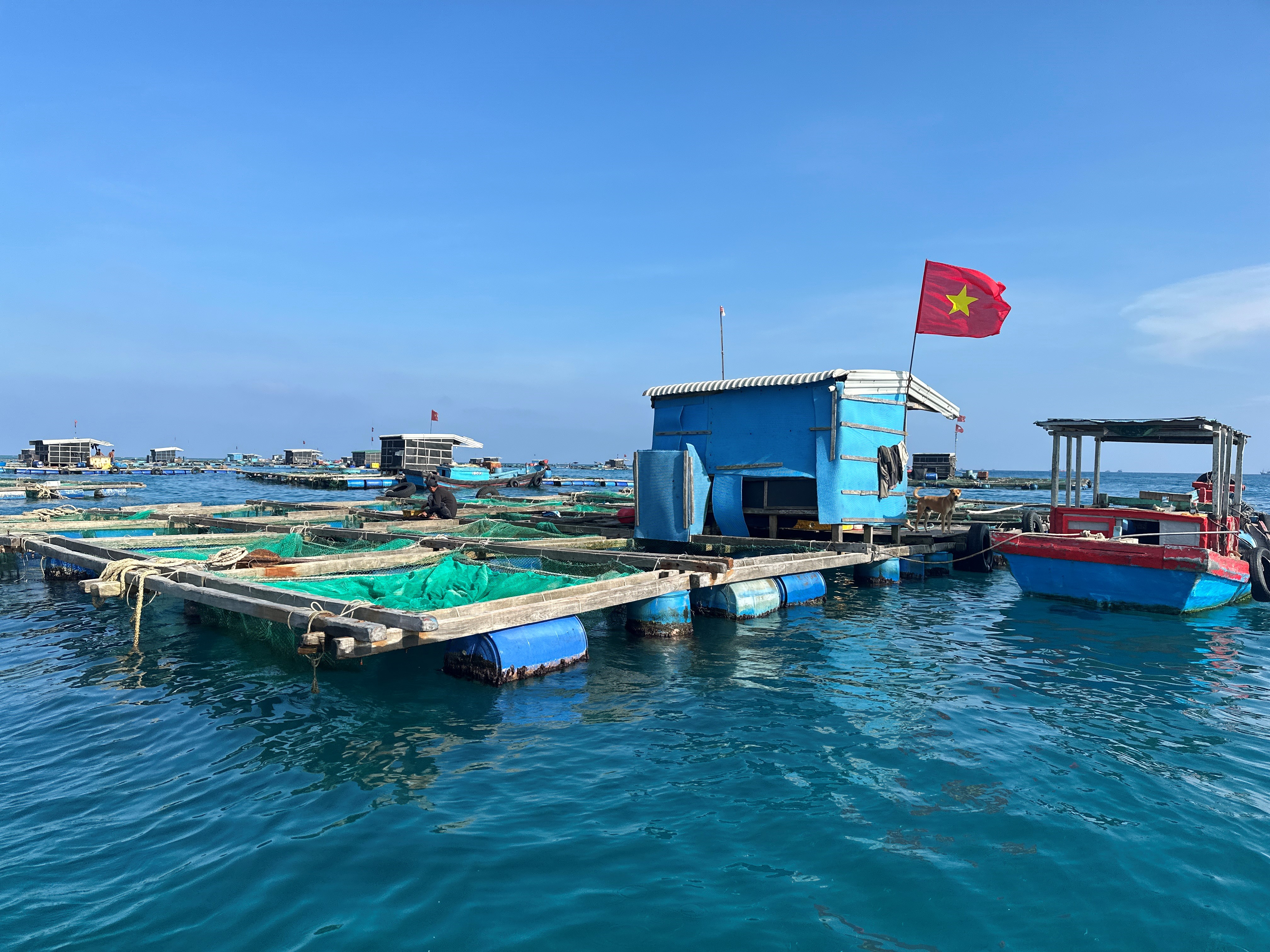 Làm giàu cho đảo tiền tiêu 2 CUỘC THI VIẾT “CHỦ QUYỀN QUỐC GIA BẤT KHẢ XÂM PHẠM”: Làm giàu cho đảo tiền tiêu - Ảnh 2.