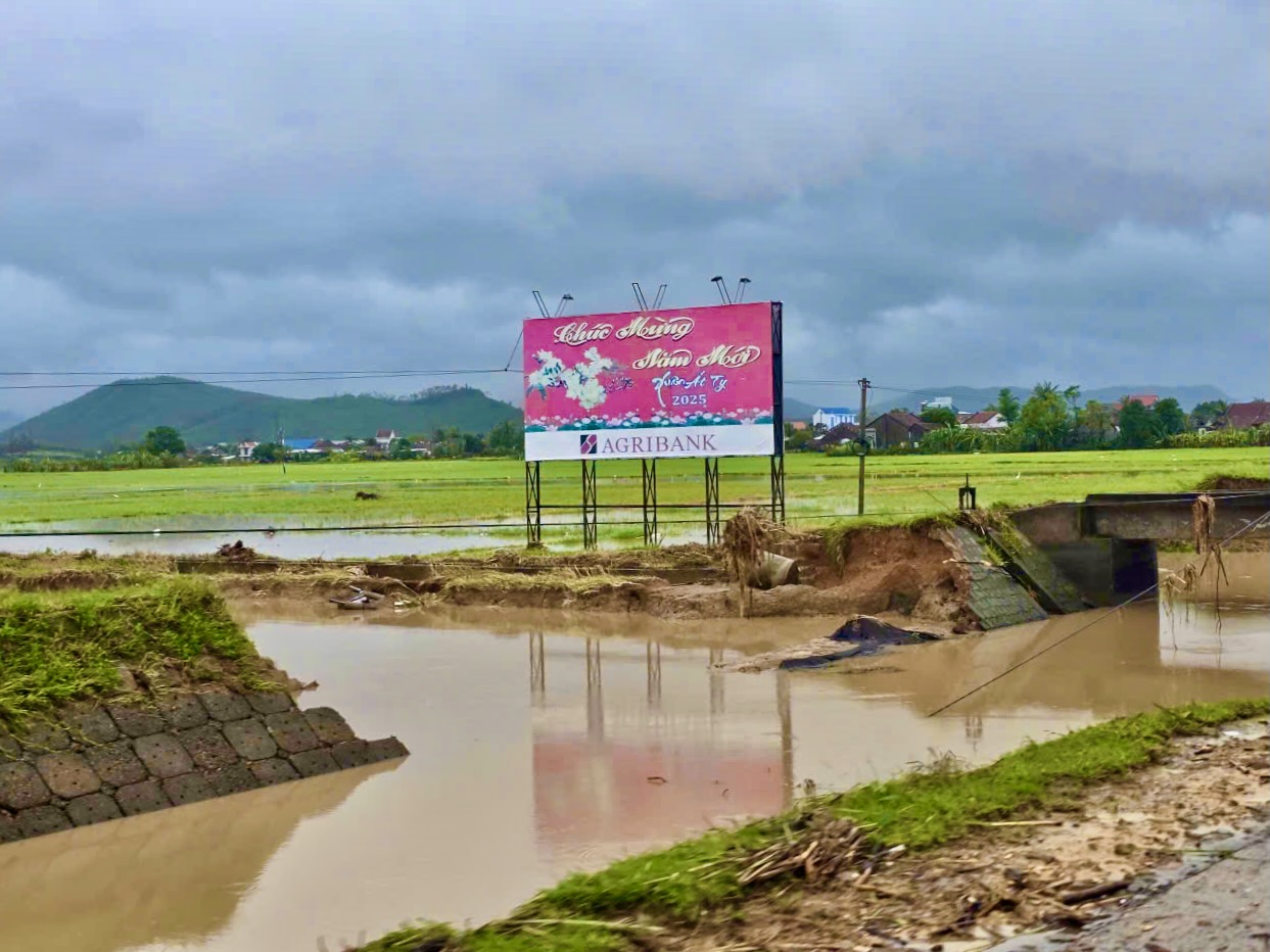 Đập Tam Giang bị lũ đánh vỡ, 800ha lúa đông xuân nguy cơ chậm gieo sạ 3 đập Tam Giang - Ảnh 5.