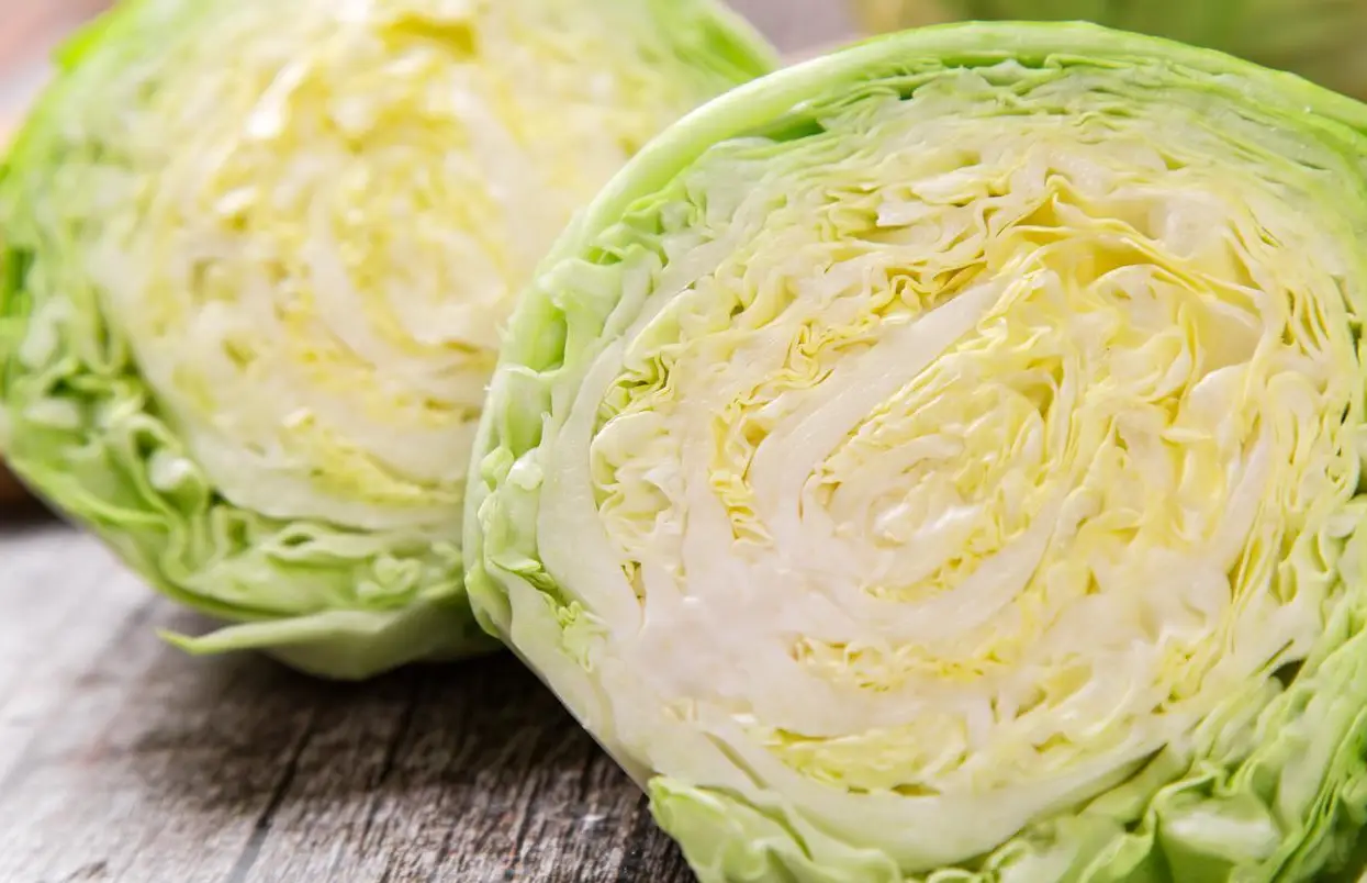 6 loại rau họ cải được ví như thần hộ mệnh sức khỏe trong mùa đông 5 6 loại rau họ cải được ví như ‘thần hộ mệnh sức khỏe’ trong mùa đông - 5