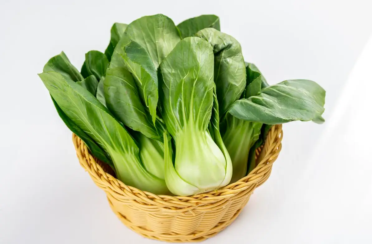 6 loại rau họ cải được ví như thần hộ mệnh sức khỏe trong mùa đông 6 6 loại rau họ cải được ví như ‘thần hộ mệnh sức khỏe’ trong mùa đông - 6