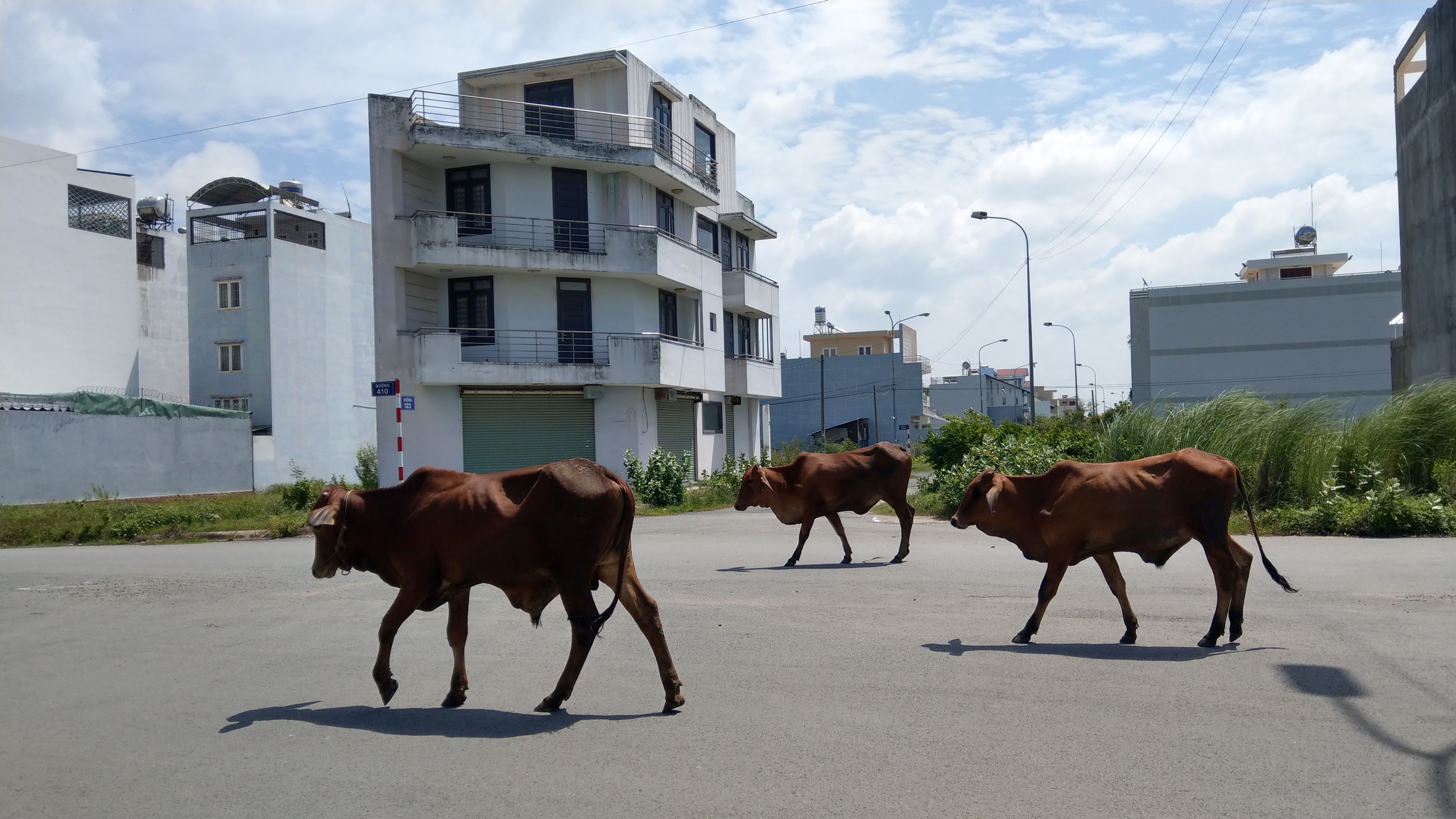 Đề xuất bảng giá đất tại TP.HCM bằng 60% giá thị trường- Ảnh 2.