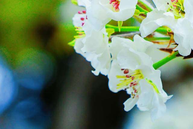 Người làm được 3 điều này khi 40-55 tuổi thực sự rất khôn ngoan, đáng nể 2 Người làm được 3 điều này khi 40-55 tuổi thực sự rất khôn ngoan, đáng nể - 2