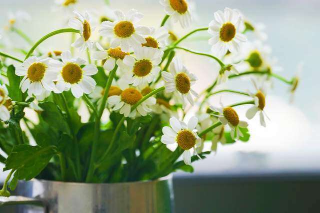 Người làm được 3 điều này khi 40-55 tuổi thực sự rất khôn ngoan, đáng nể 3 Người làm được 3 điều này khi 40-55 tuổi thực sự rất khôn ngoan, đáng nể - 3