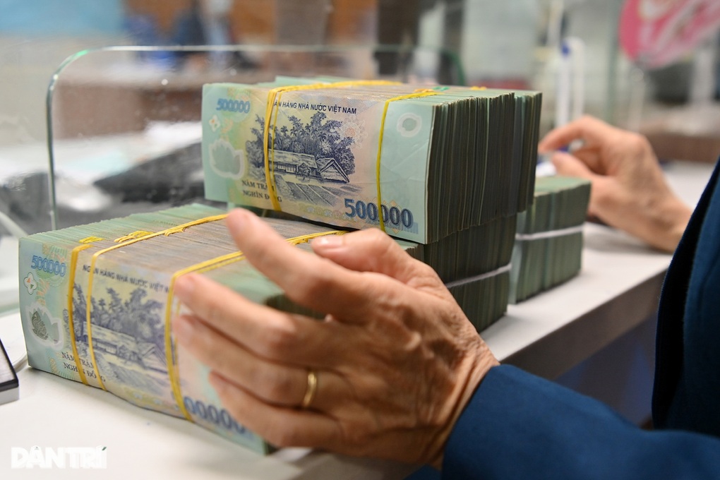 Không chỉ Thiên Long, vốn Nhật Bản đang ồ ạt chảy vào nhiều ngành nghề - 2