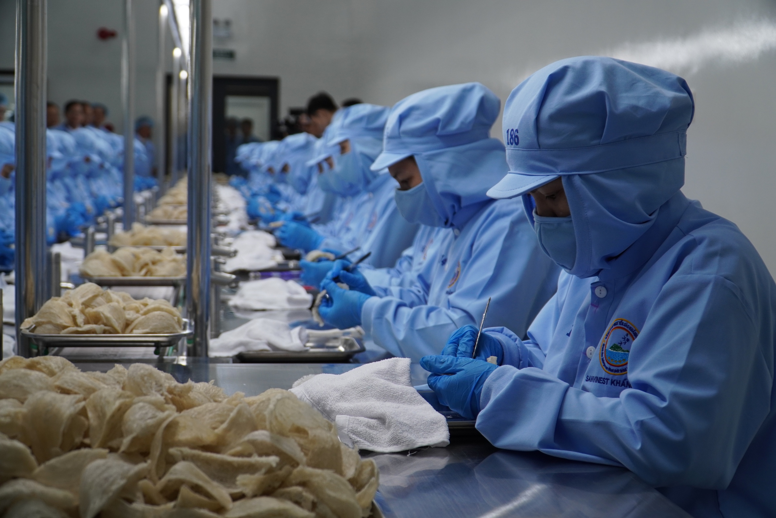 Đoàn kết – đổi mới vì người lao động 2 Đại hội Công đoàn Công ty Yến sào Khánh Hòa khóa XIII: Đoàn kết – đổi mới vì người lao động - Ảnh 2.