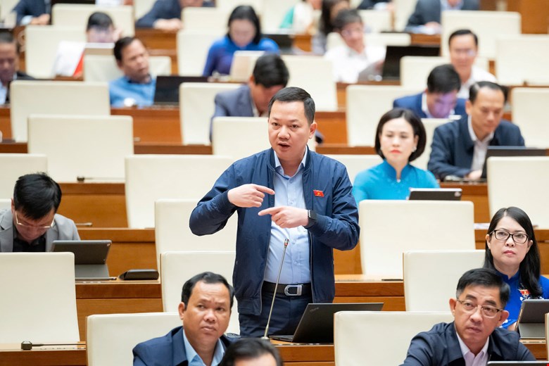 Phân bón đang áp thuế VAT 5%, đại biểu tranh luận việc đưa ra khỏi đối tượng chịu thuế 2 phân bón - Ảnh 2.