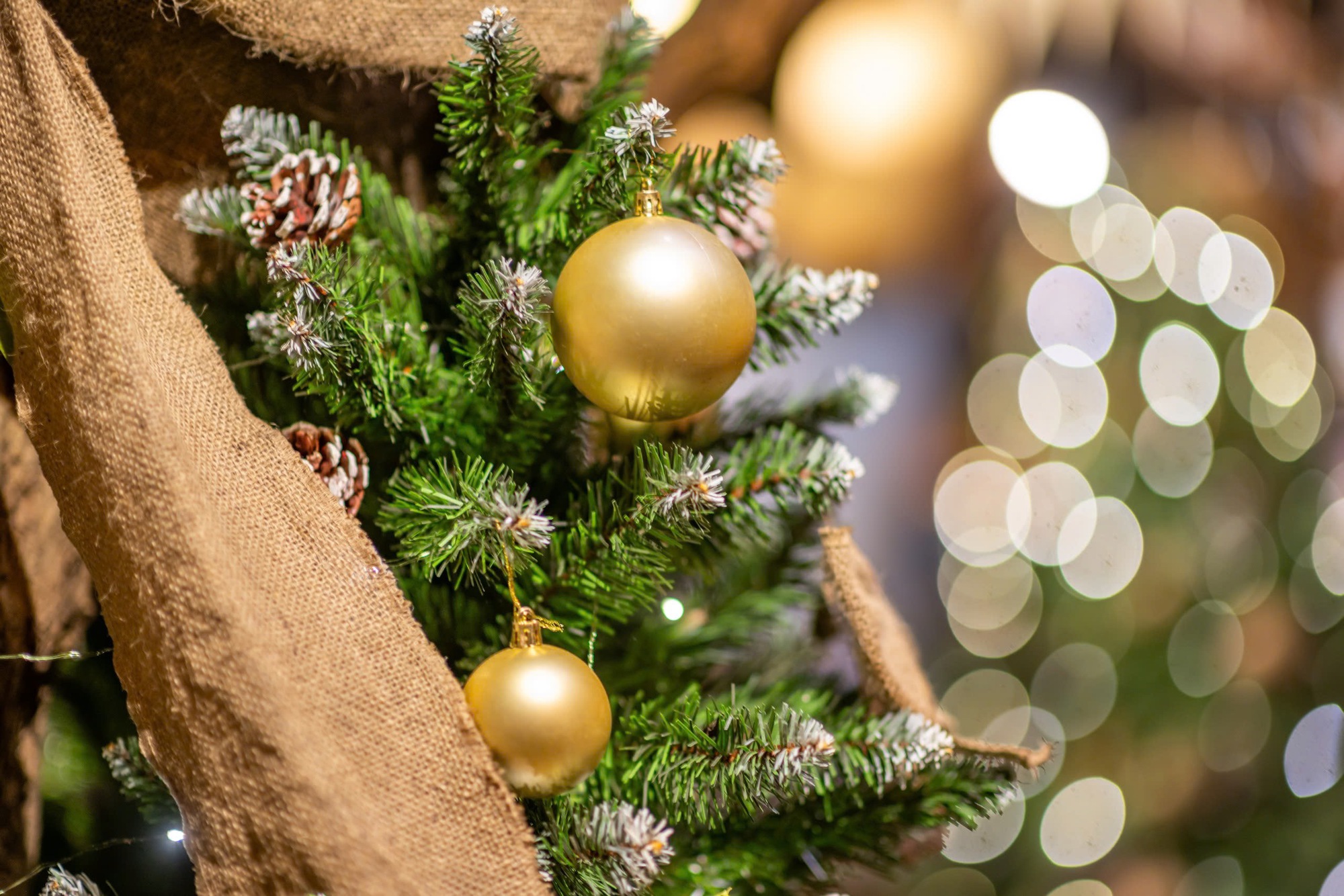 Thắp sáng mùa Giáng sinh trên thành phố mang tên Bác- Ảnh 9. Thắp sáng mùa Giáng sinh trên thành phố mang tên Bác- Ảnh 9.