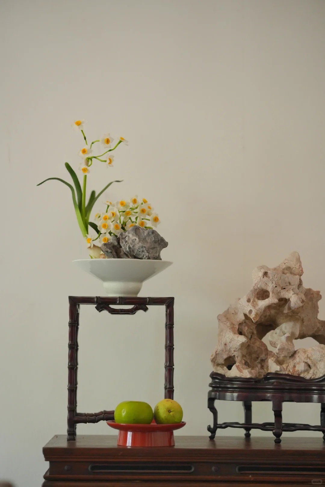 Tết này nhất định phải dưỡng một bát thủy tiên 