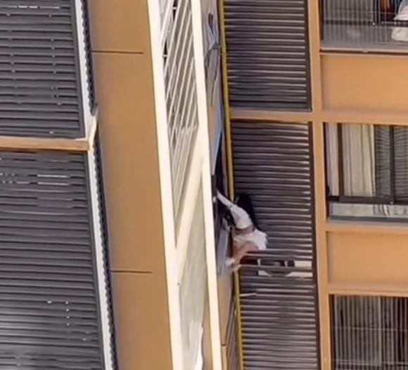 trốn khỏi chung cư 1 chung cư, cô gái trèo chung cư, ngoại tình