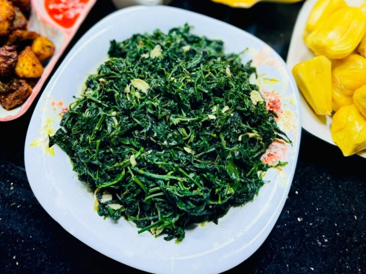 Cây mọc dại vô tội vạ được ví là “nhân sâm rừng”, mọc nhiều ở Việt nam, giá trên dưới 100.000 đồng/kg, xào tỏi ăn cực ngon 2 Cây mọc dại vô tội vạ được ví là “nhân sâm rừng”, mọc nhiều ở Việt nam, giá trên dưới 100.000 đồng/kg, xào tỏi ăn cực ngon - 2