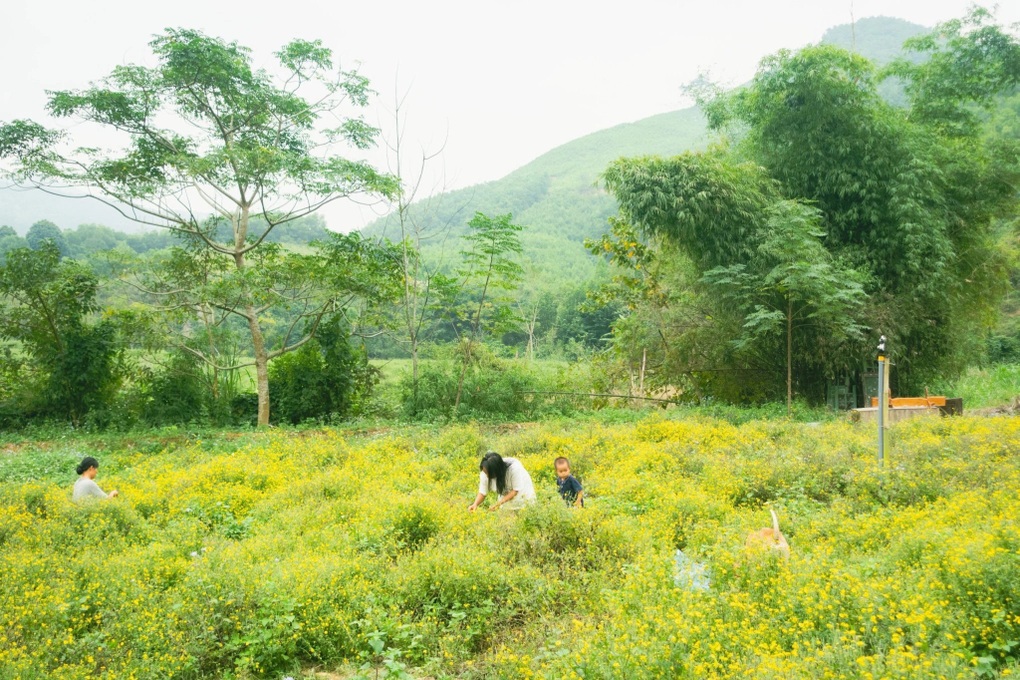 Gia đình nhỏ rời Hà Nội, chi 8 tỷ đổi lấy nơi ở trong lành, không bụi mịn - 3
