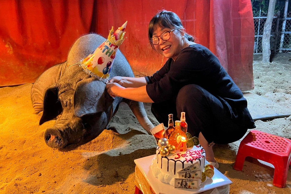 Nghệ sĩ Ánh Tuyết kể chuyện chăn lợn trong villa, 2 lần bị tai biến tuổi 64 - 2