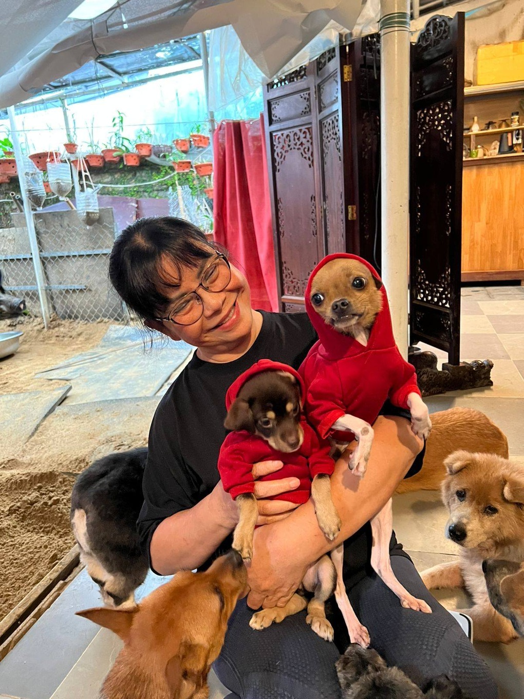 Nghệ sĩ Ánh Tuyết kể chuyện chăn lợn trong villa, 2 lần bị tai biến tuổi 64 - 3