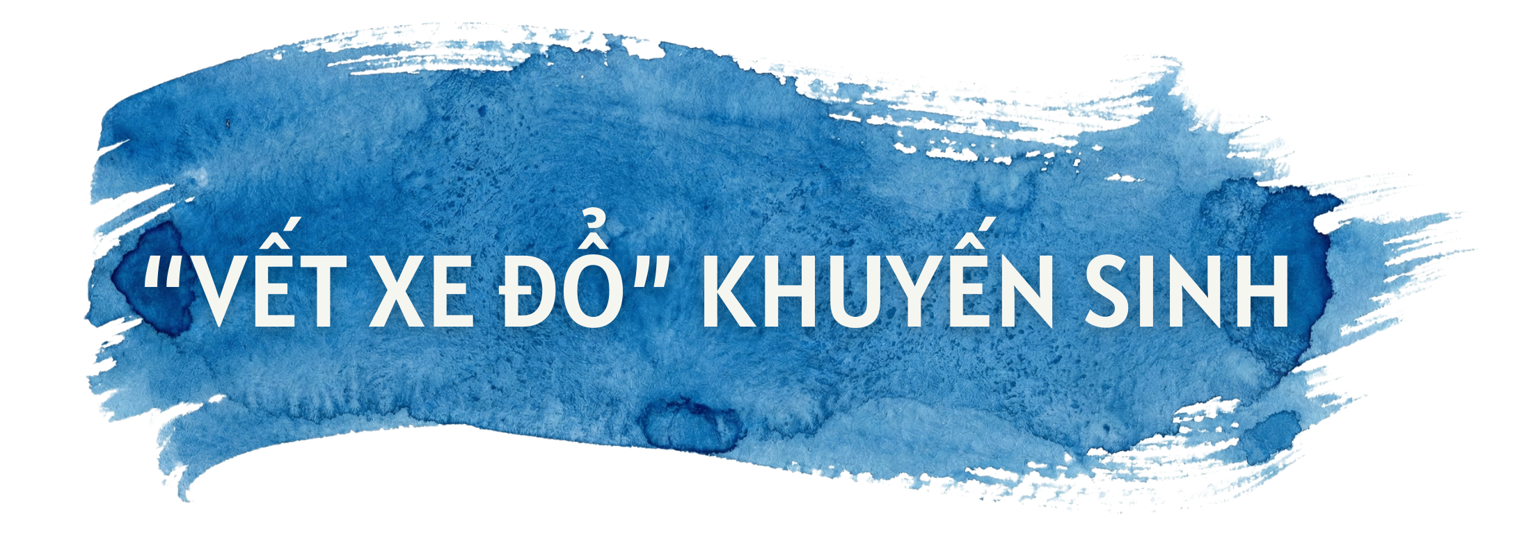 Việt Nam trước nỗi lo chưa giàu đã già - Ảnh 2. Việt Nam trước nỗi lo chưa giàu đã già - Ảnh 2.