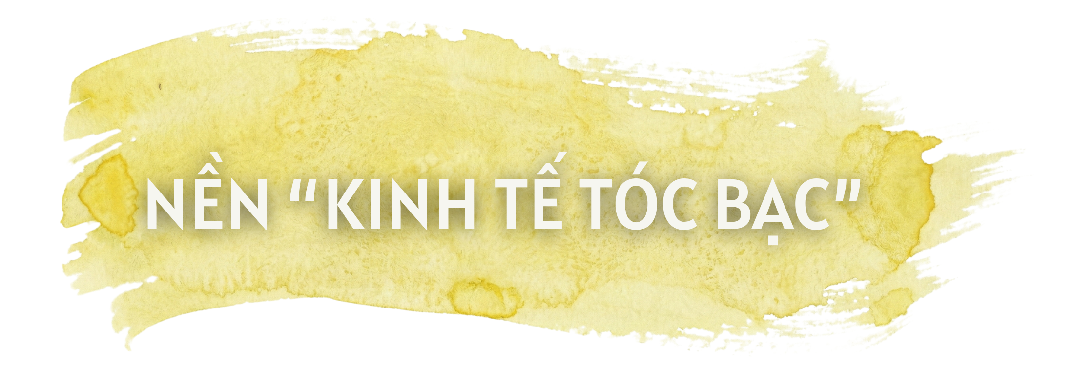 Việt Nam trước nỗi lo chưa giàu đã già - Ảnh 3. Việt Nam trước nỗi lo chưa giàu đã già - Ảnh 3.