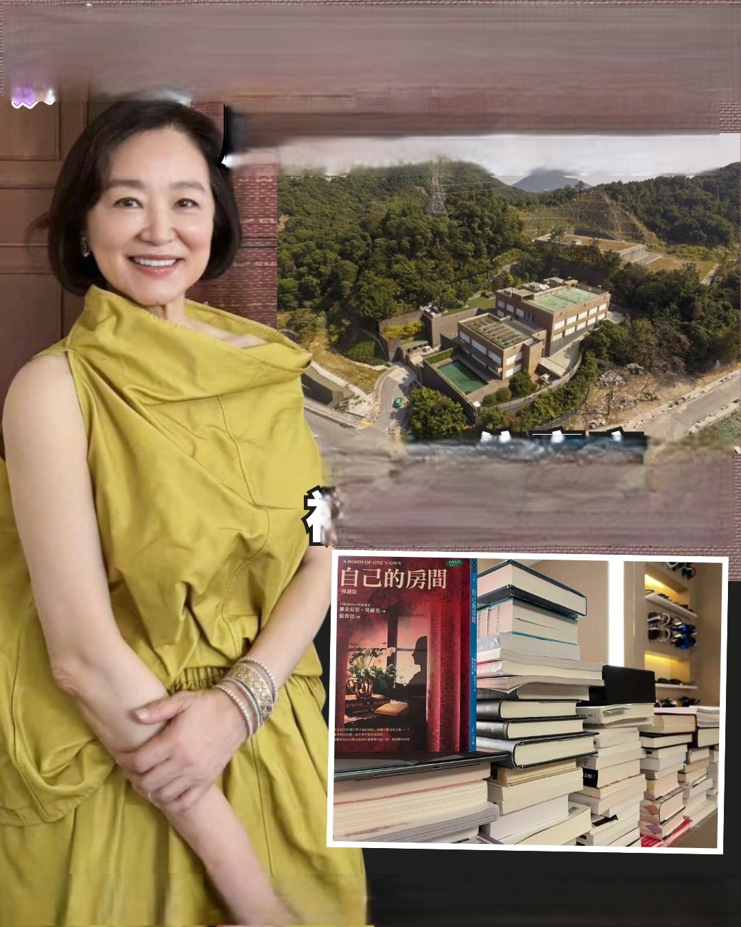 Lâm Thanh Hà và nỗi ám ảnh gián trong biệt thự 4 . 100 Tỷ đồng - Ảnh 2. Lâm Thanh Hà và nỗi ám ảnh gián trong biệt thự 4 . 100 Tỷ đồng - Ảnh 2.