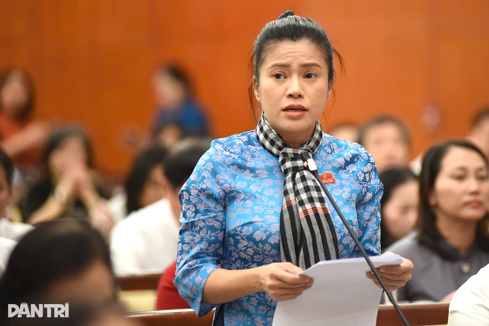 Đại biểu chất vấn lãnh đạo sở về đồ ăn trực tuyến, suất ăn học sinh ở TPHCM - 2