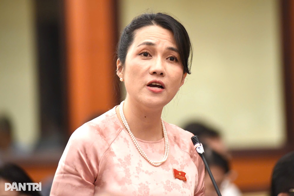 Đại biểu chất vấn lãnh đạo sở về đồ ăn trực tuyến, suất ăn học sinh ở TPHCM - 3