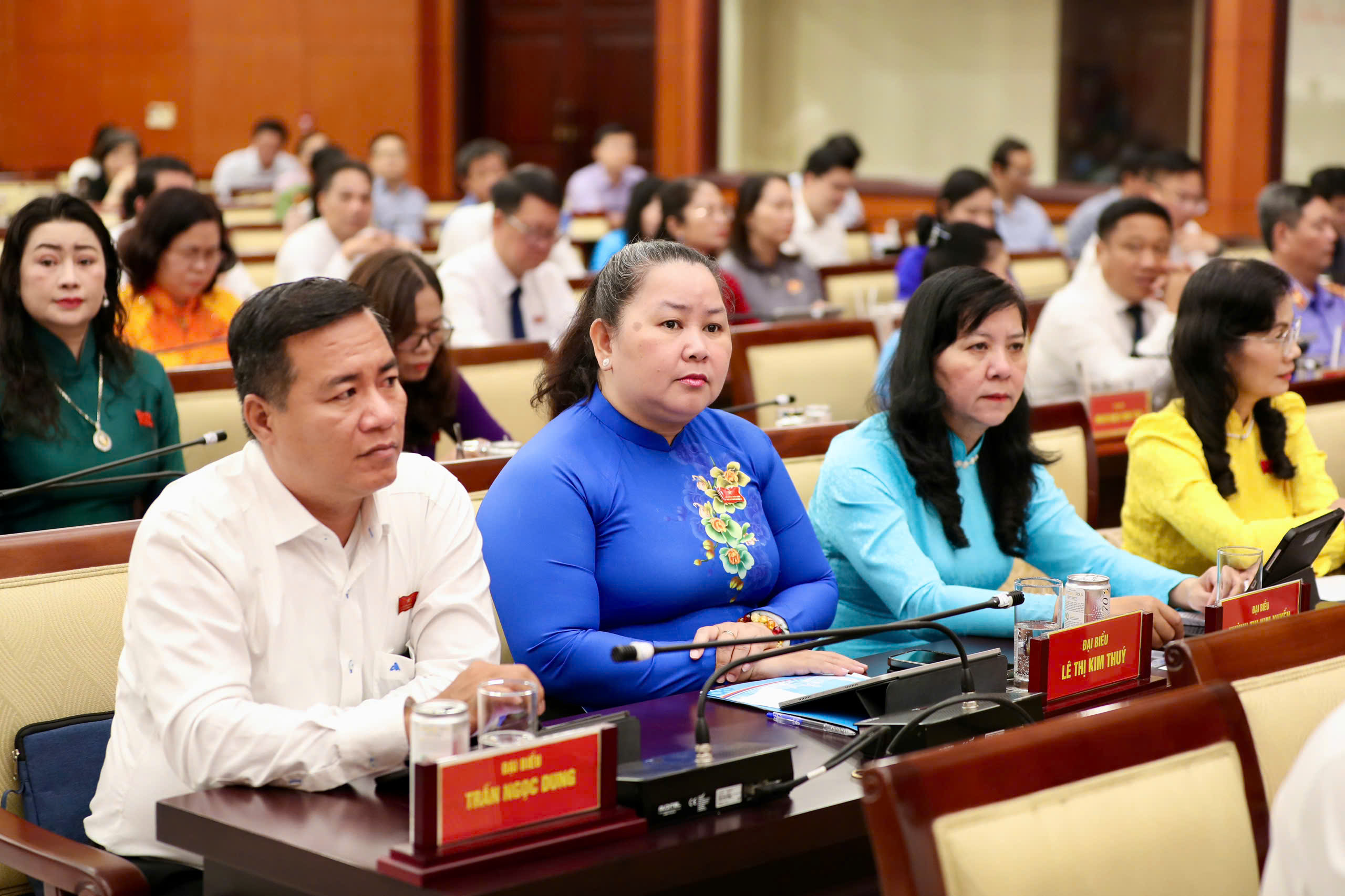 Đại biểu HĐND TPHCM chất vấn sự an toàn của thức ăn đường phố 10 img