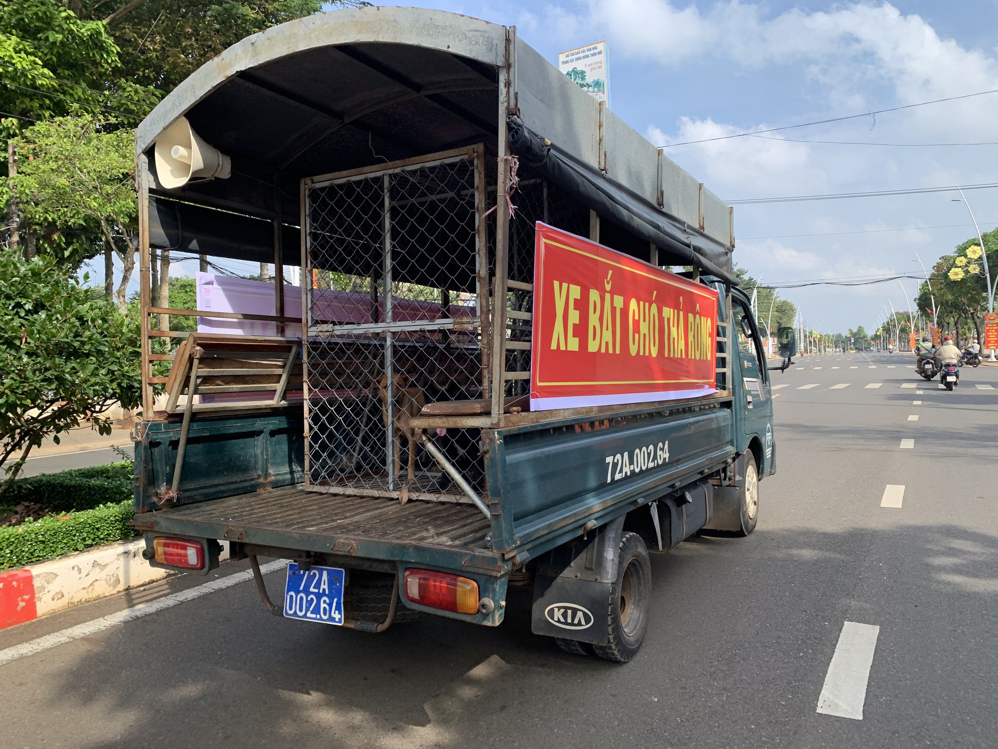 Chỉ trong 1 buổi sáng, tổ bắt chó thả rông của 1 xã ở TP HCM tóm tổng cộng 7 con- Ảnh 2. Chỉ trong 1 buổi sáng, tổ bắt chó thả rông của 1 xã ở TP HCM tóm tổng cộng 7 con- Ảnh 2.