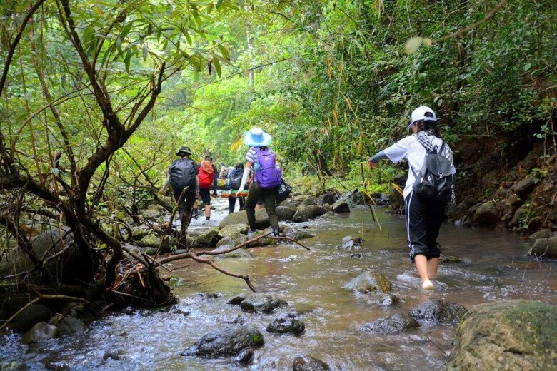 Cách TP.HCM 3 tiếng đi xe, giới trẻ mê mẩn trekking ở nơi đẹp như amp;#34;vườn cổ tích”, thưởng thức đặc sản có 1-0-2 - 3