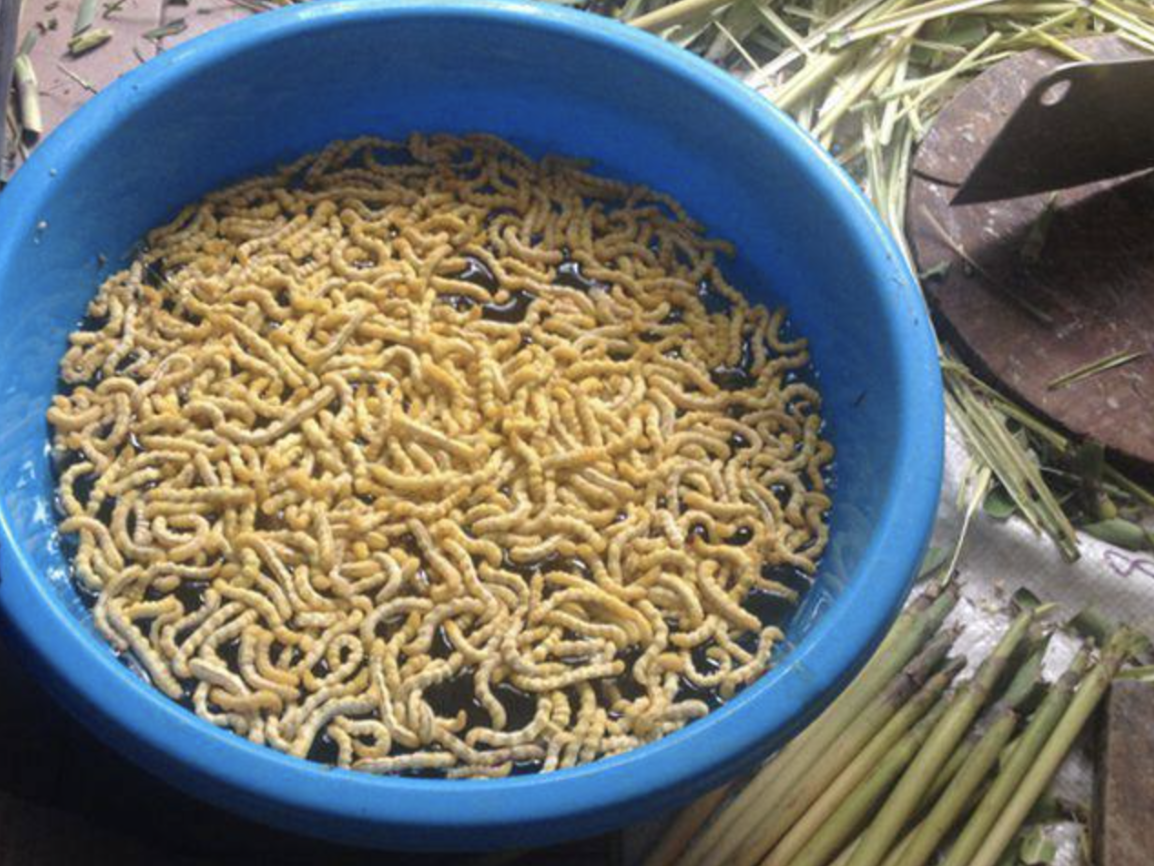 1765347147 562 4 dac san ngo nguay dang so bac nhat Viet