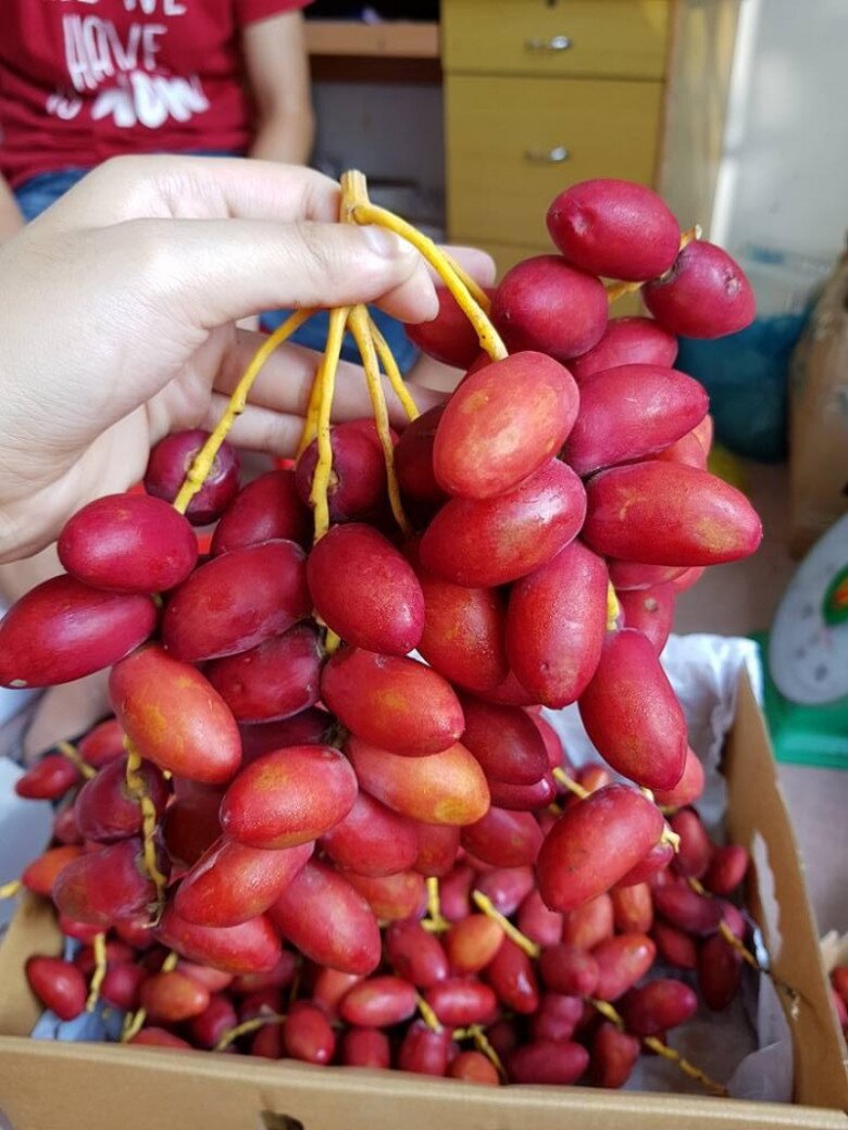 Loại quả căng mọng amp;#34;đắt đỏamp;#34; nhất Việt Nam, nhìn vừa quen vừa lạ giá tận 700.000 đồng/kg vẫn amp;#34;cháy hàngamp;#34; - 2