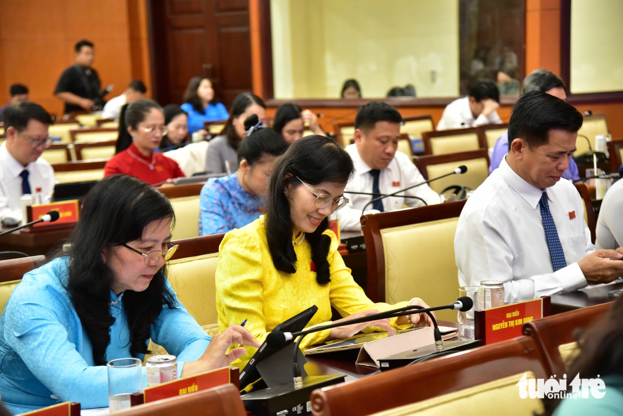 HĐND TP.HCM - Ảnh 5.