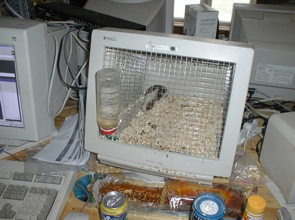 5 ý tưởng tận dụng màn hình máy tính cũ thay vì vứt bỏ - Ảnh 2.