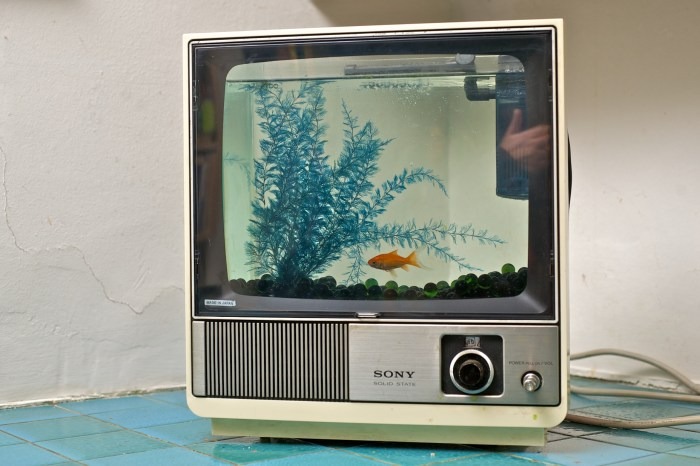 5 ý tưởng tận dụng màn hình máy tính cũ thay vì vứt bỏ - Ảnh 3.