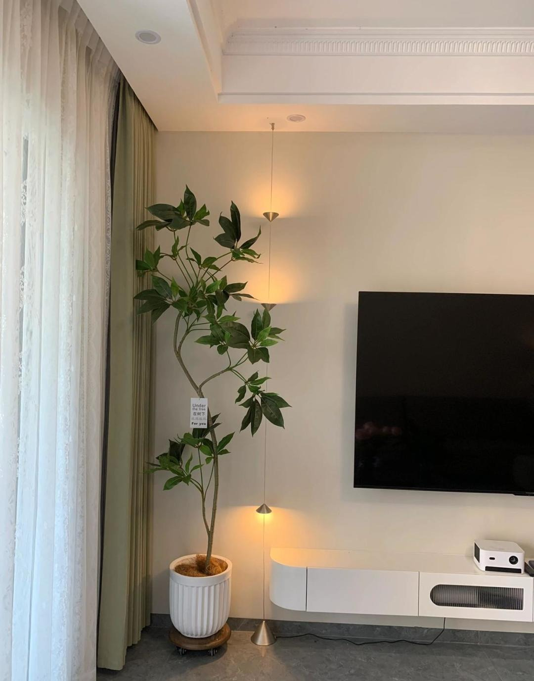 5 vị trí KHÔNG NÊN trồng cây trong nhà kẻo xui xẻo tìm đến, rước họa vào thân- Ảnh 4.