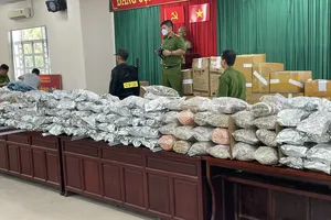 C04 phá đường dây sang Thái Lan trồng Cần Sa rồi đưa về Việt Nam tiêu thụ