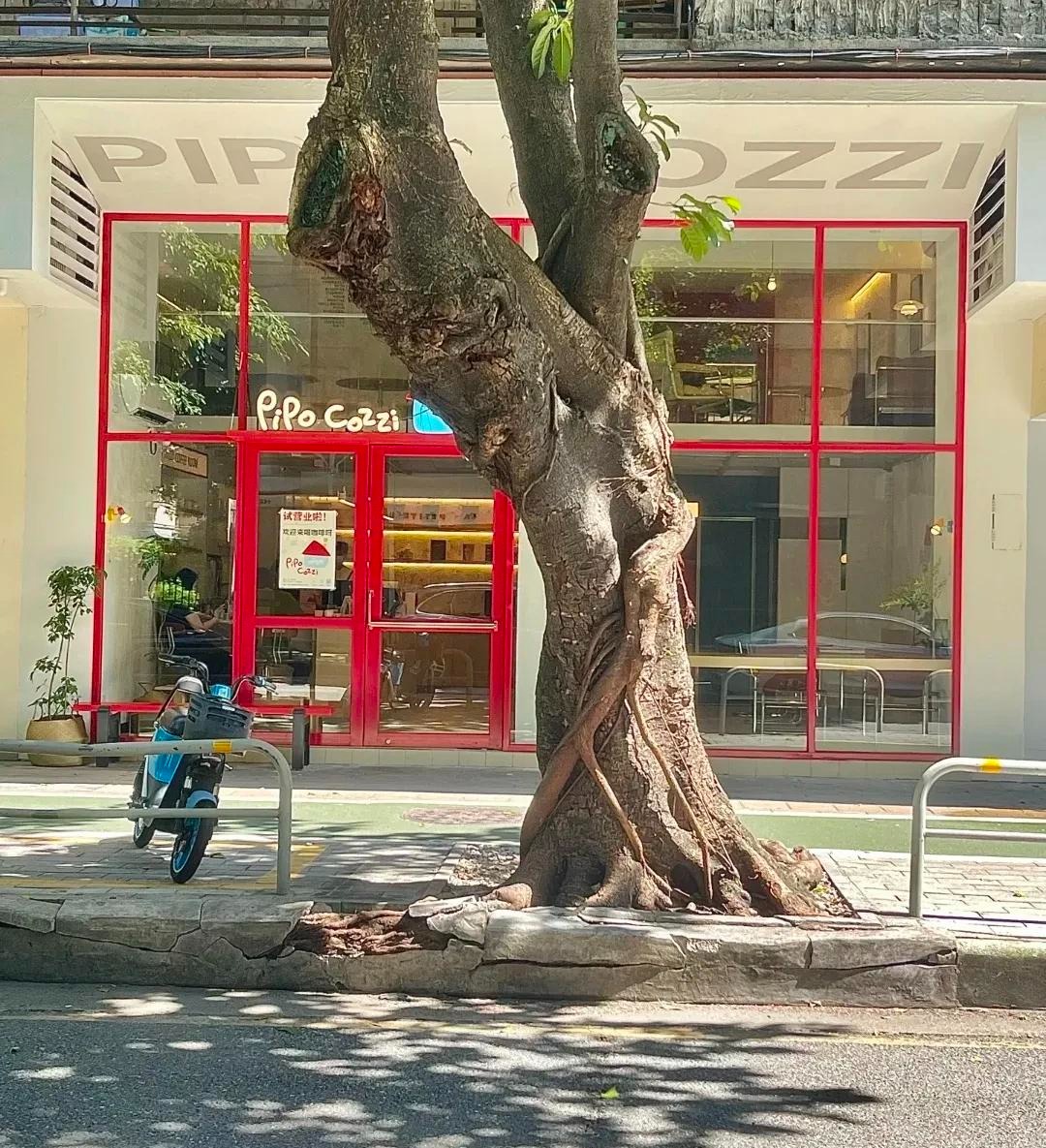 3 dấu hiệu nhận biết ngôi nhà nặng khí, long mạch không ổn- Ảnh 2.