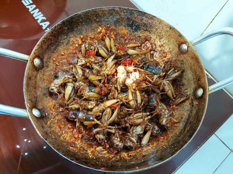 Loài vật nhìn đã rùng mình nay là đặc sản Đồng Nai dân sành ăn thích mê, cách săn bắt độc lạ chỉ dân chuyên biết - 4