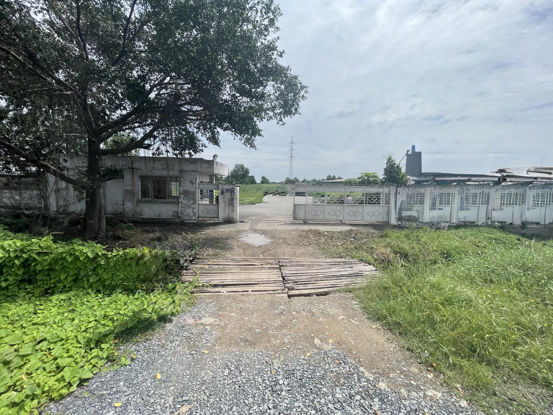 Kiến nghị gỡ vướng cho vụ 'doanh nghiệp phải đi thuê đất lại của chính mình'- Ảnh 2. Kiến nghị gỡ vướng cho vụ 'doanh nghiệp phải đi thuê đất lại của chính mình'- Ảnh 2.