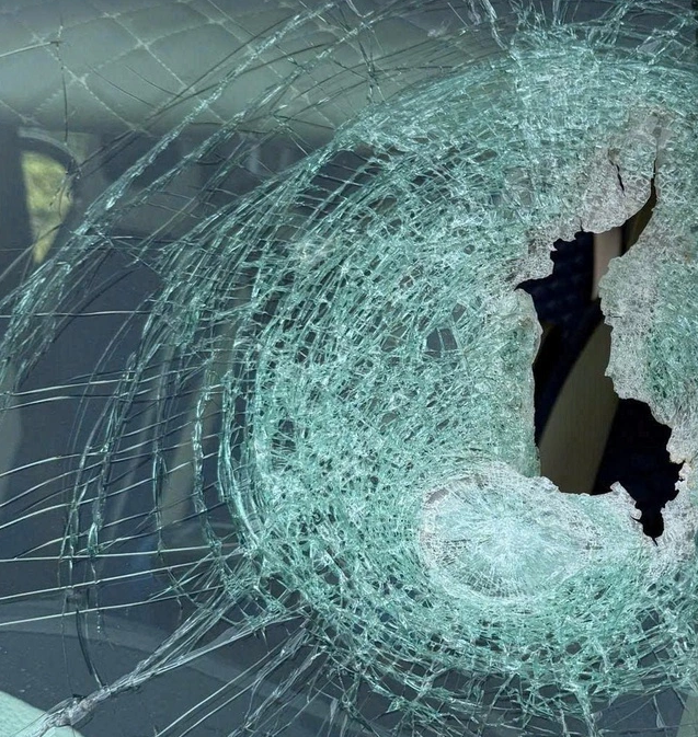 - Ảnh 2. - Ảnh 2.