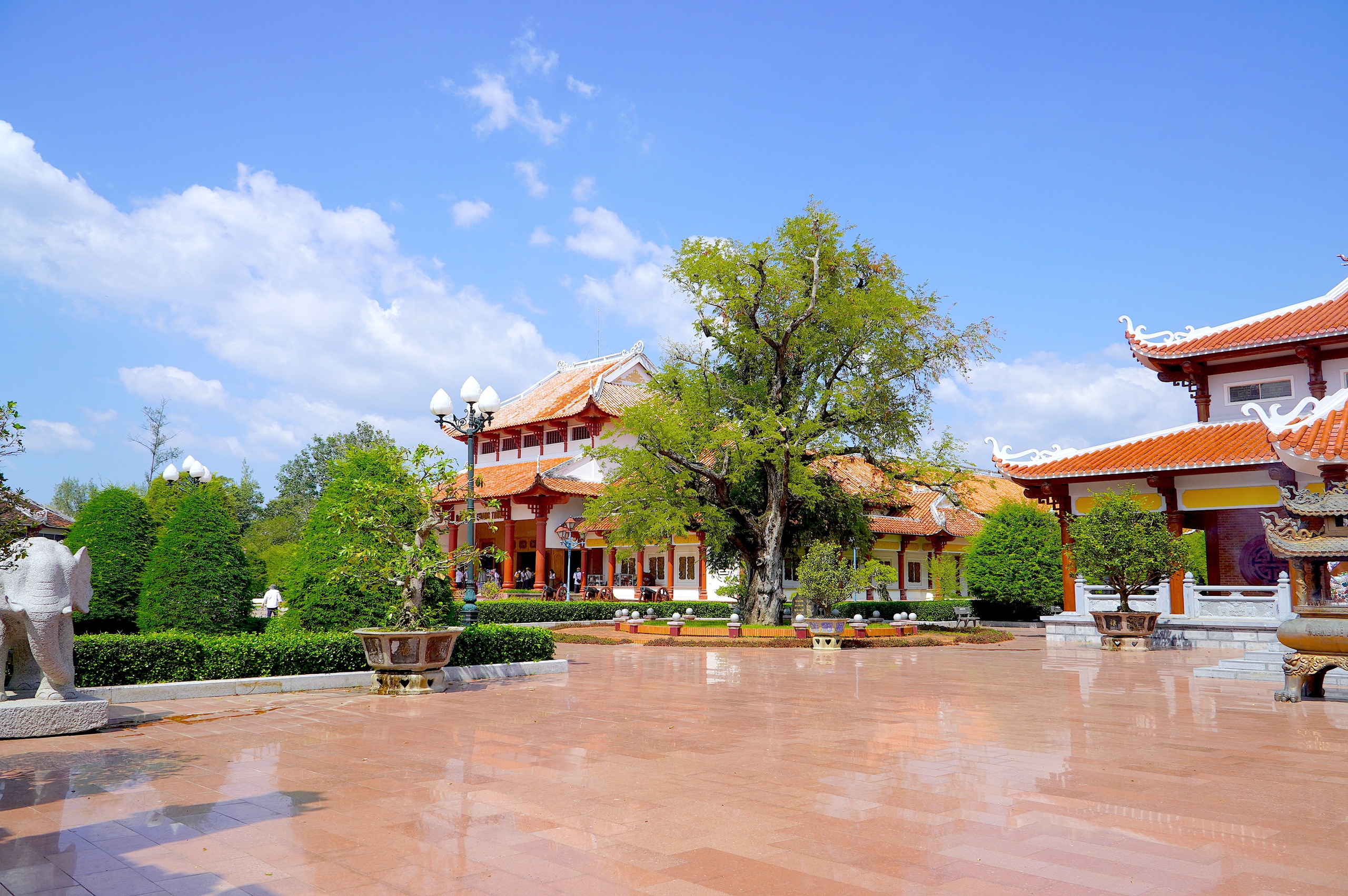 Hào khí nhà Tây Sơn từ cây me và giếng nước tại Bảo tàng Quang Trung - Ảnh 4. Hào khí nhà Tây Sơn từ cây me và giếng nước tại Bảo tàng Quang Trung - Ảnh 4.