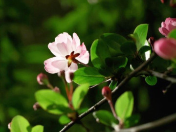 Phụ nữ là phong thủy của ngôi nhà: 3 kiểu phụ nữ giúp gia đình ngày càng giàu có 5 Khi bị người khác hãm hại, đây mới là cách đáp trả tinh tế và khôn ngoan nhất