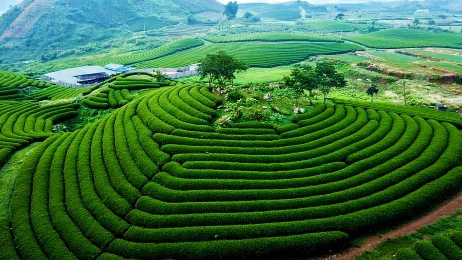 Việt Nam có 1 nơi được Giải thưởng Du lịch Thế giới gọi tên tới 3 lần: Đang mùa hoa mận phủ trắng đồi, “viên ngọc quý” giữa lòng Tây Bắc- Ảnh 5.