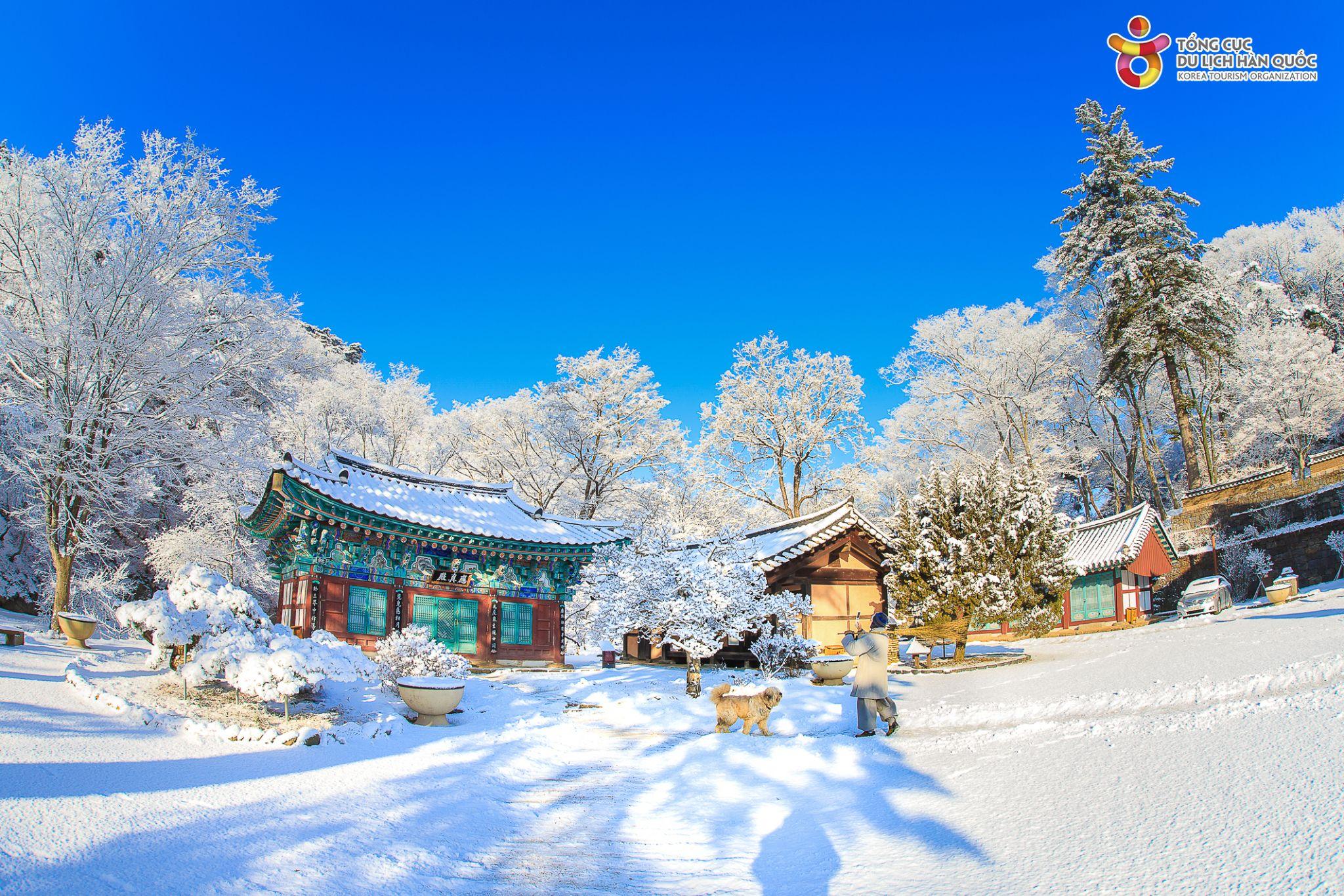 Hàn Quốc: Hành trình gắn kết yêu thương 3 thế hệ 2 Hàn Quốc: Hành trình gắn kết yêu thương 3 thế hệ - 2