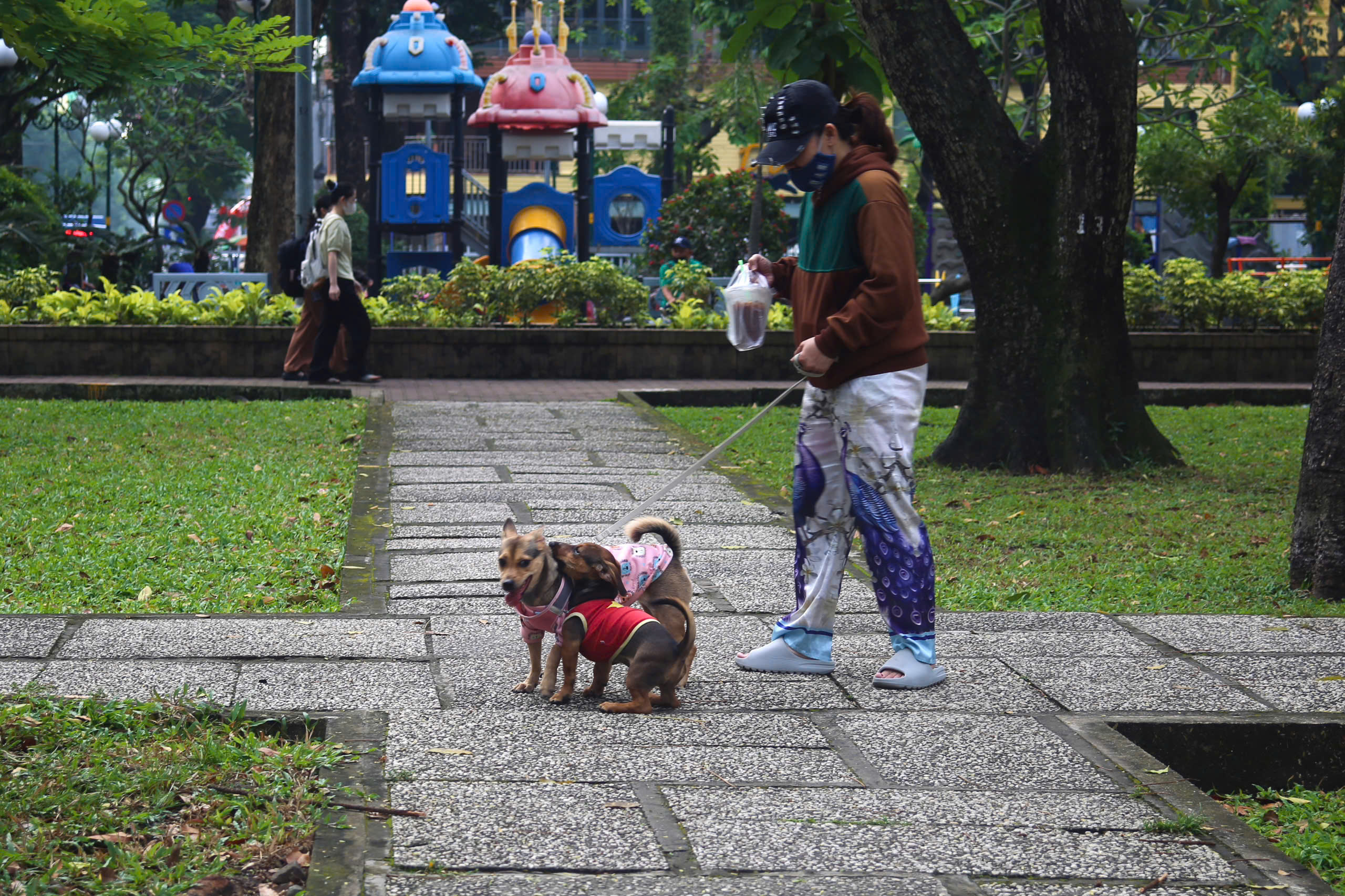 Truy nã thanh niên “Chill Sài Gòn", chuyện 330 triệu đồng 3 Thông tin nổi bật tại TPHCM ngày 11-12: - Ảnh 3.