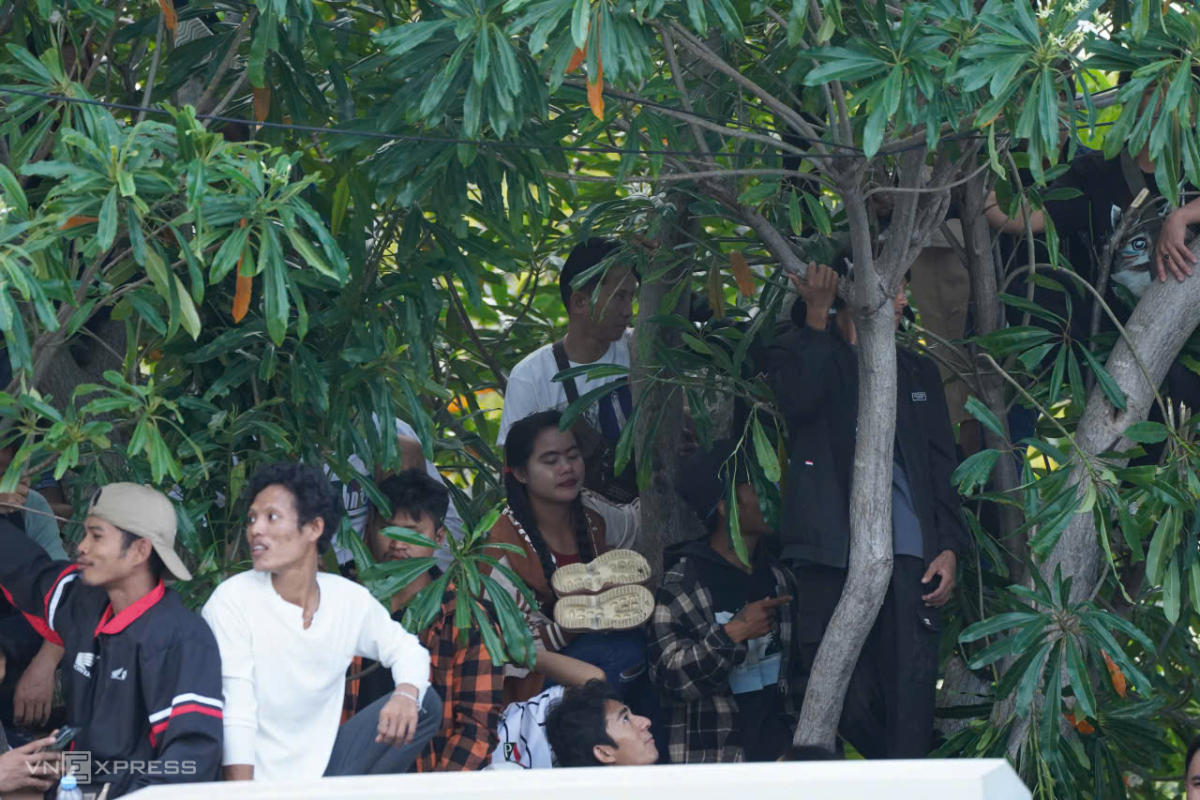 z7316389985393-c3014e5bb2922c0-7442-9943