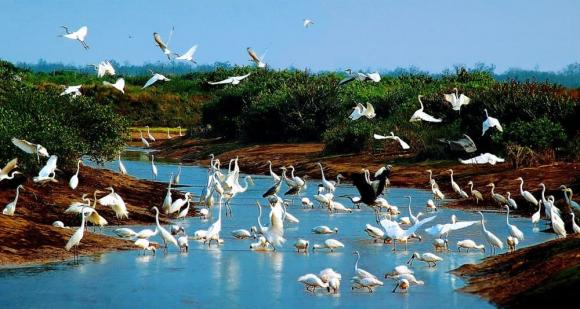 Công viên Di sản ASEAN, Vườn quốc gia Pù Mát