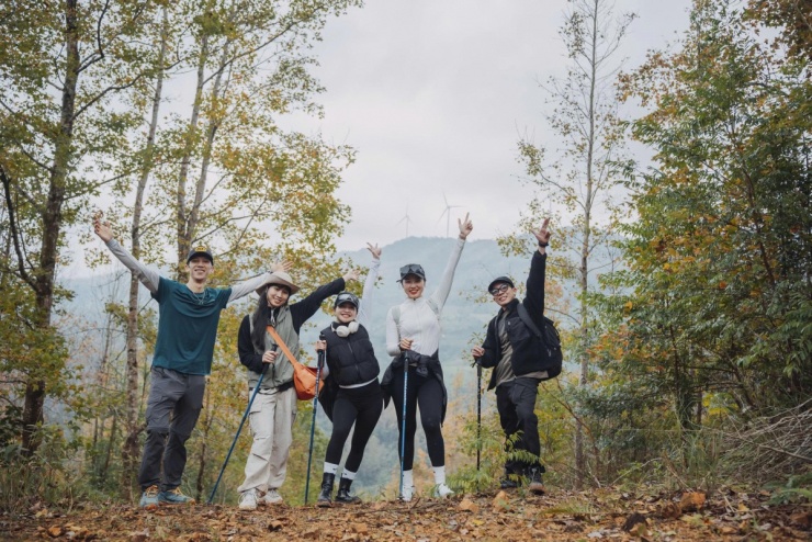 Rừng phong Khe Sanh đổi màu lá, hút khách trekking - 2